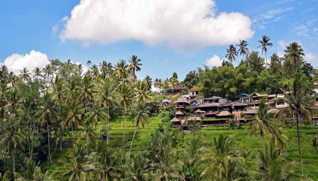 ResiRest - Joining a local family at their eating table in Bali (Ubud) - Photo 4